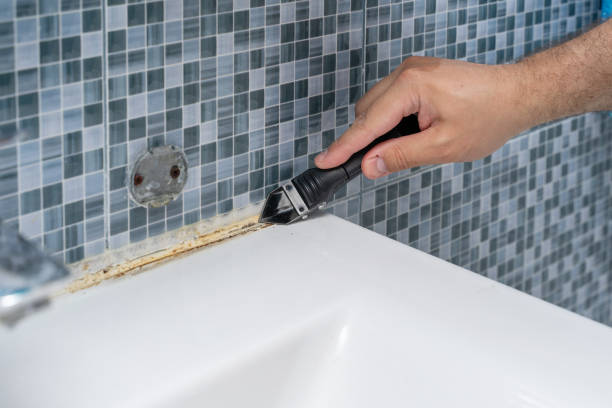 Best Certified Mold Removal  in Brittany Farms The Highlands, PA